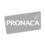 imageonline-co-whitebackgroundremoved (6)